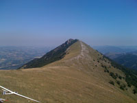 Le Marche